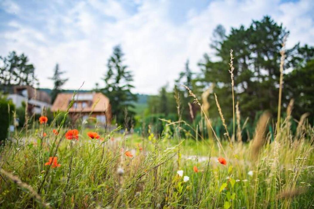 Le Holzberg Et Ses Suites Osenbach Zewnętrze zdjęcie