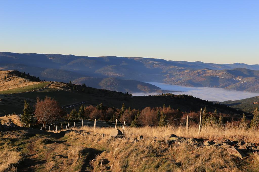 Le Holzberg Et Ses Suites Osenbach Zewnętrze zdjęcie