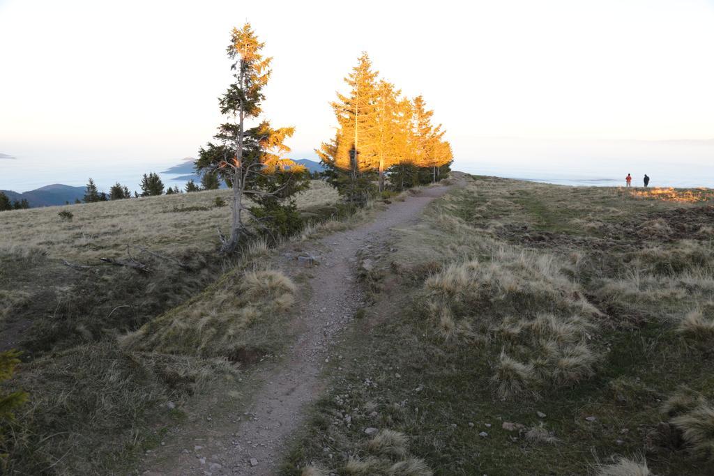 Le Holzberg Et Ses Suites Osenbach Zewnętrze zdjęcie